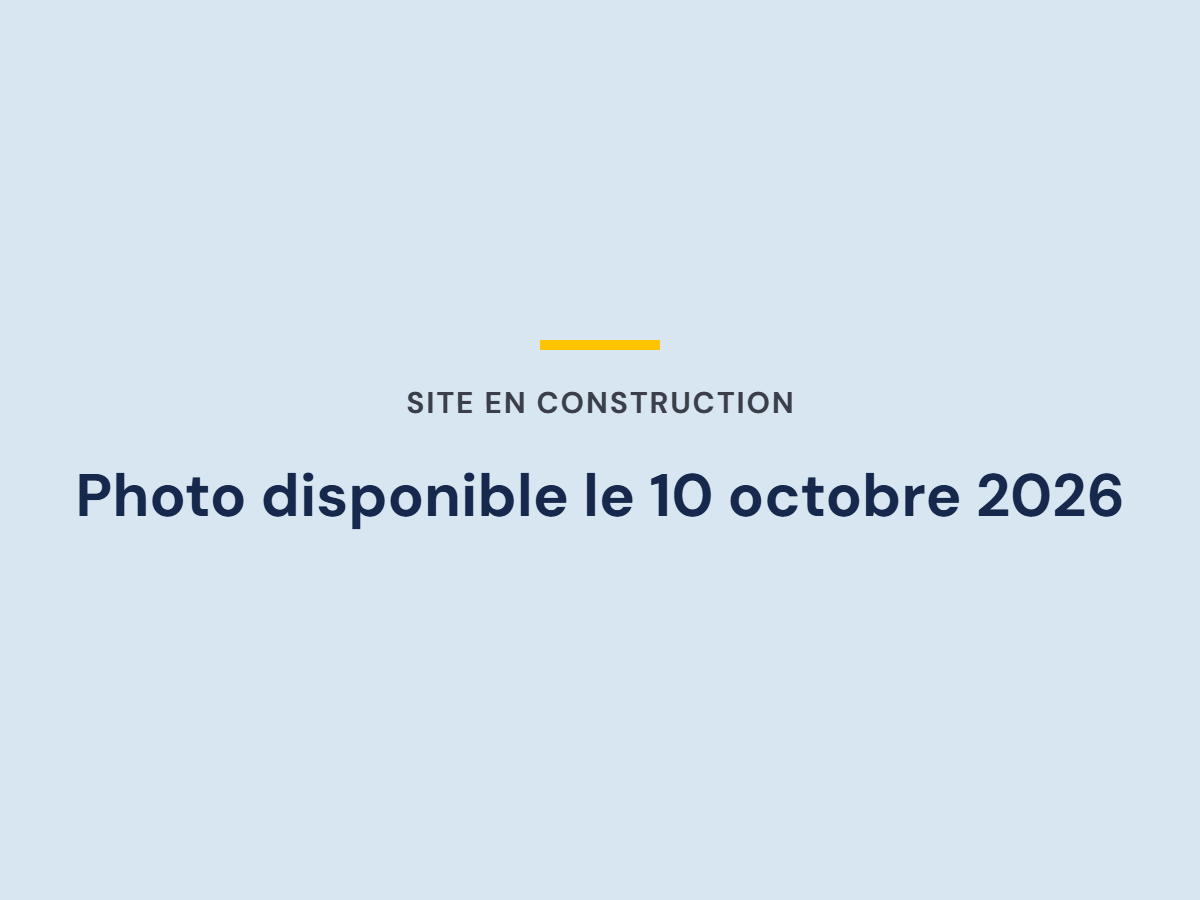 Thierry au téléphone, à l'arrêt dans les bouchons de l'A31